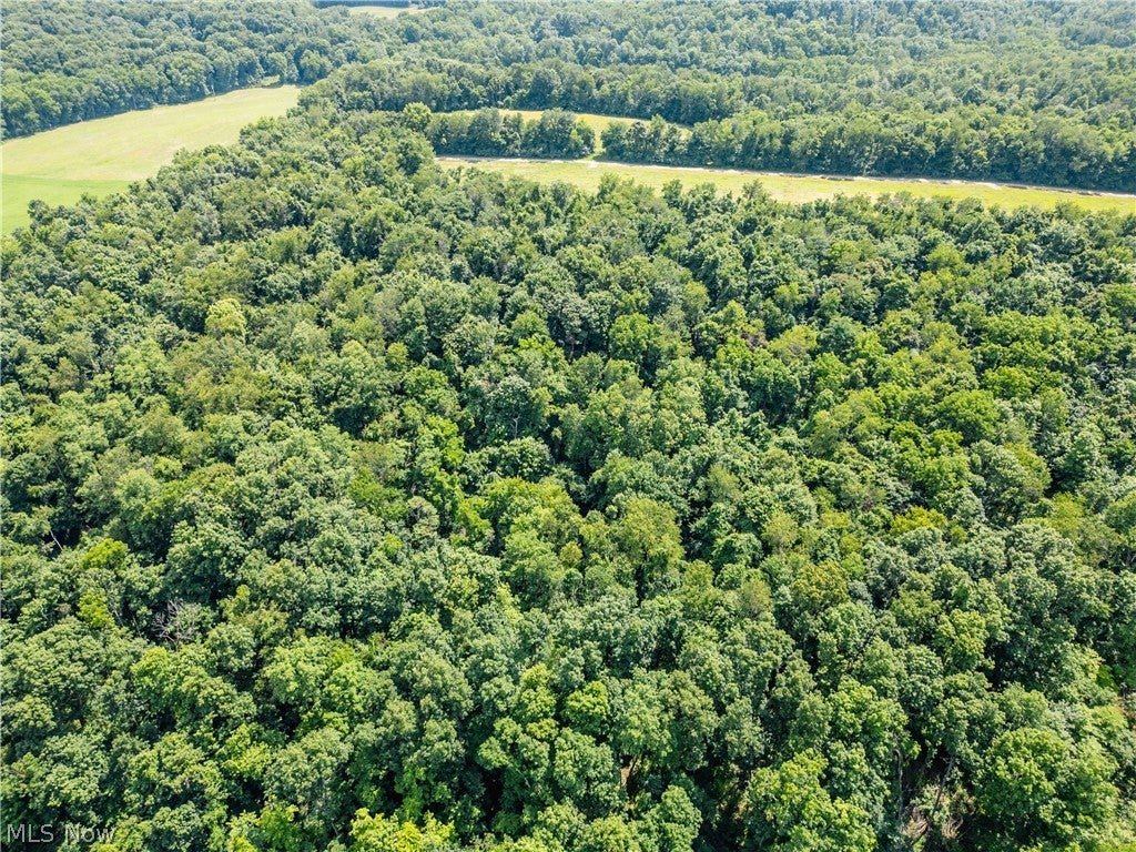 Lot 1 Township Rd 51