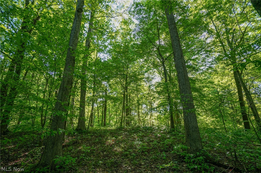 Pugh Ridge Road, Alledonia, Ohio image 1