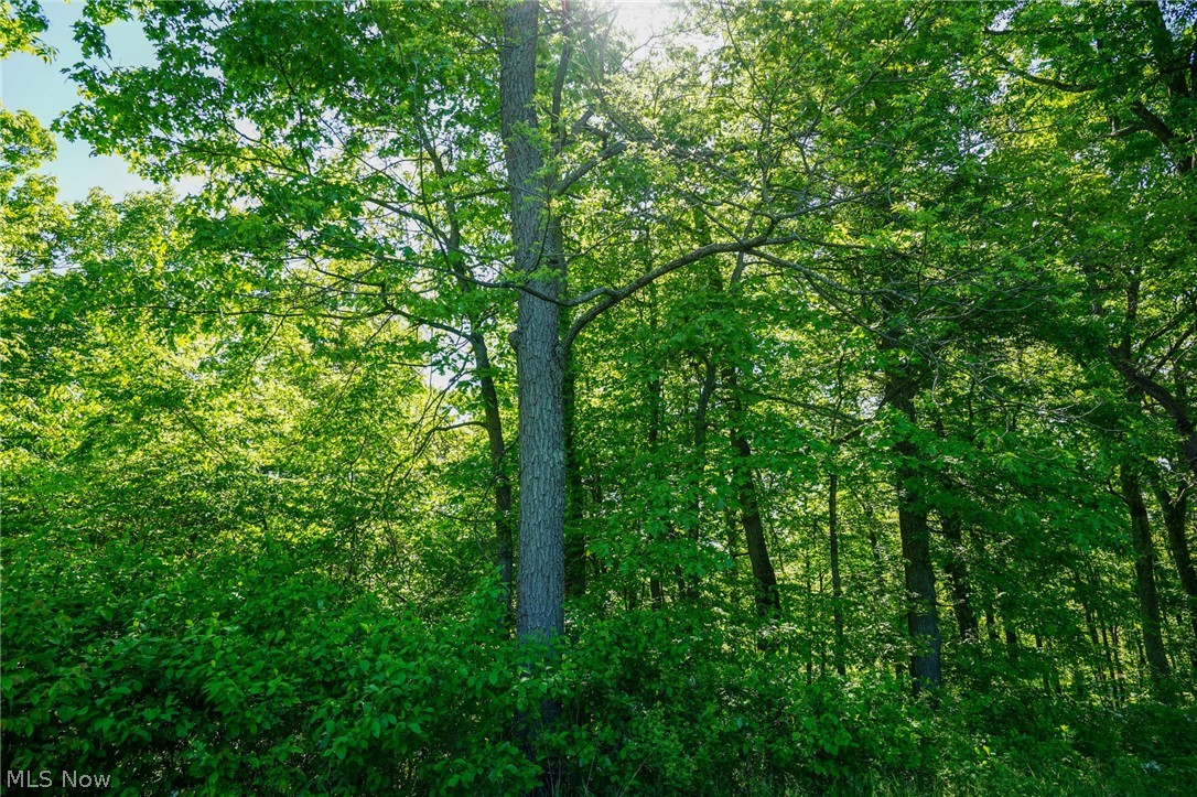 Pugh Ridge Road, Alledonia, Ohio image 40