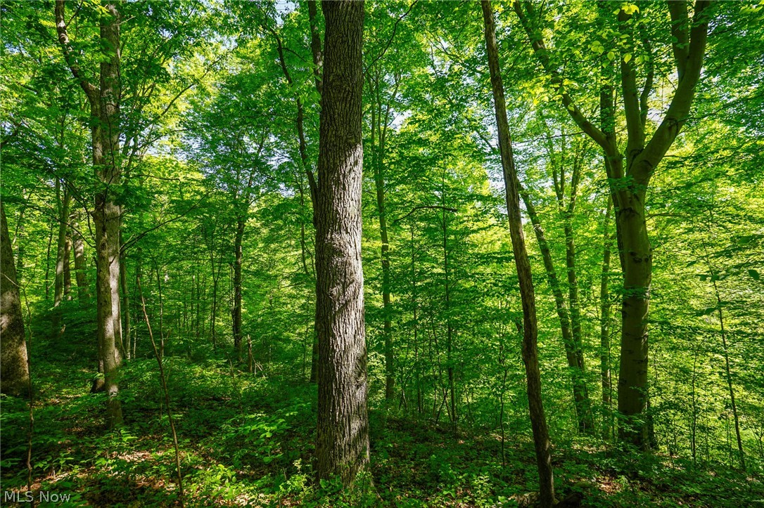 Pugh Ridge Road, Alledonia, Ohio image 31