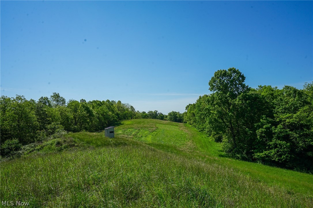 Pugh Ridge Road, Alledonia, Ohio image 42