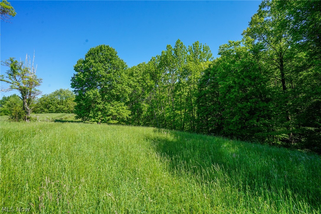 Pugh Ridge Road, Alledonia, Ohio image 20