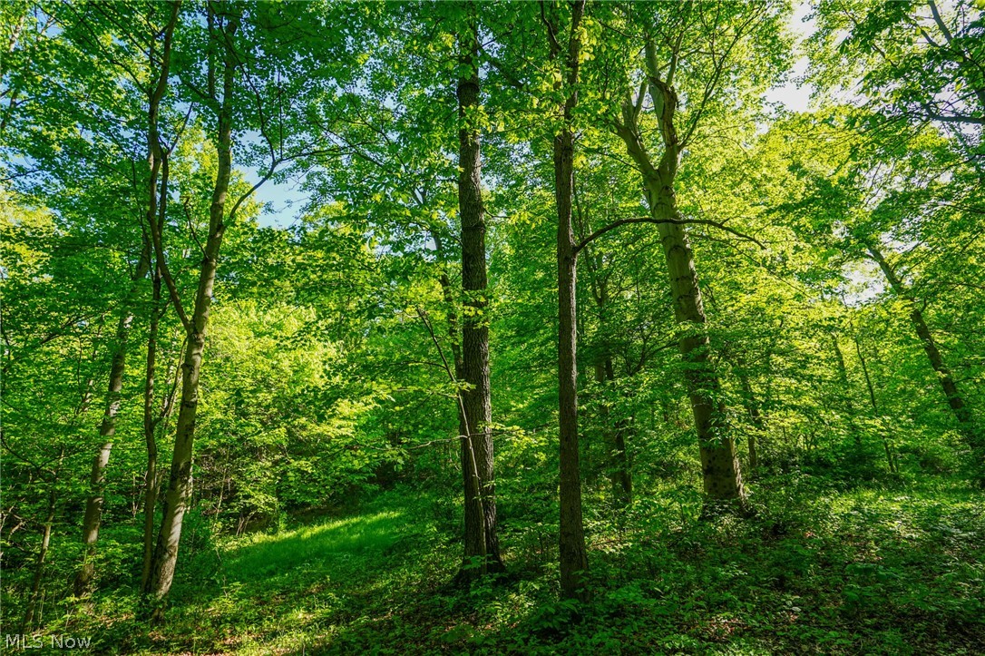 Pugh Ridge Road, Alledonia, Ohio image 6