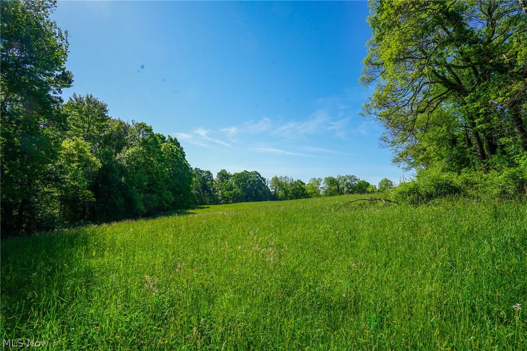 Pugh Ridge Road, Alledonia, Ohio image 19