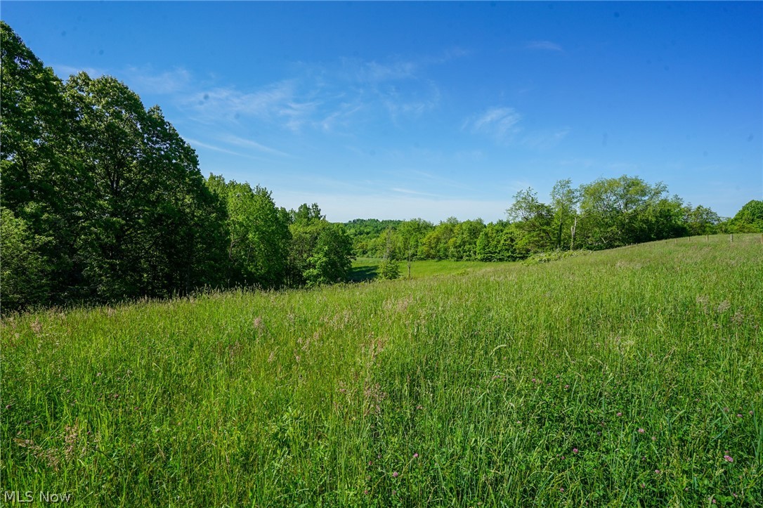 Pugh Ridge Road, Alledonia, Ohio image 16