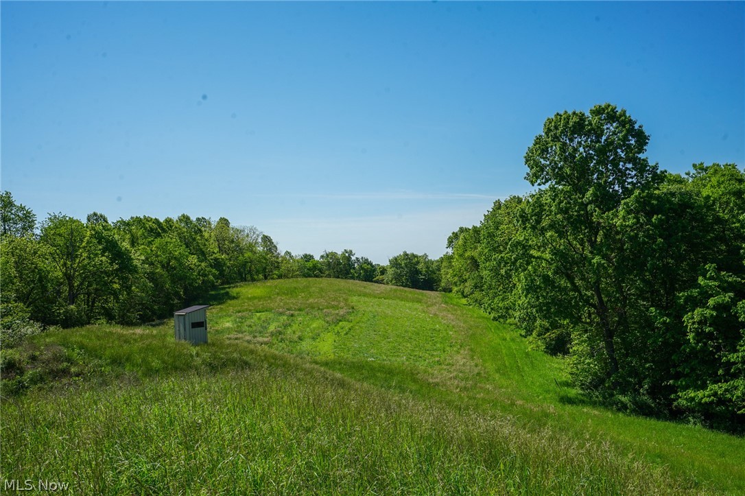 Pugh Ridge Road, Alledonia, Ohio image 43