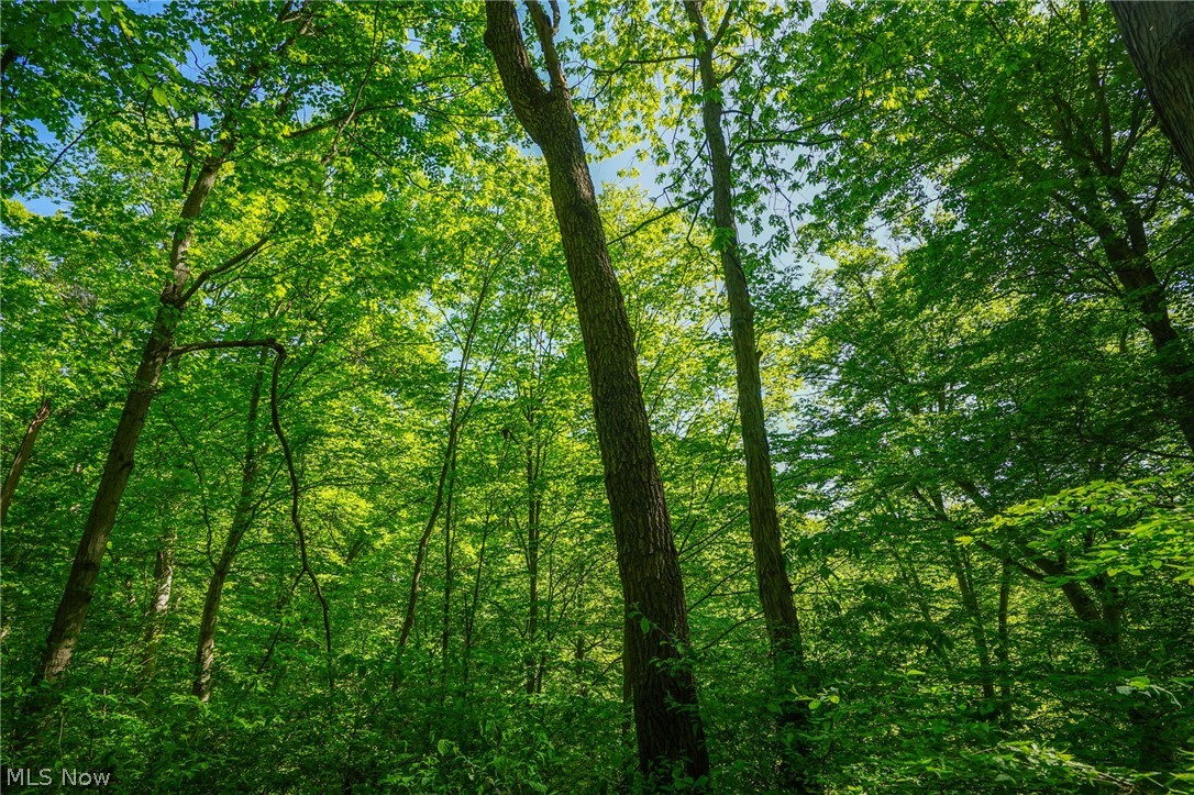 Pugh Ridge Road, Alledonia, Ohio image 38