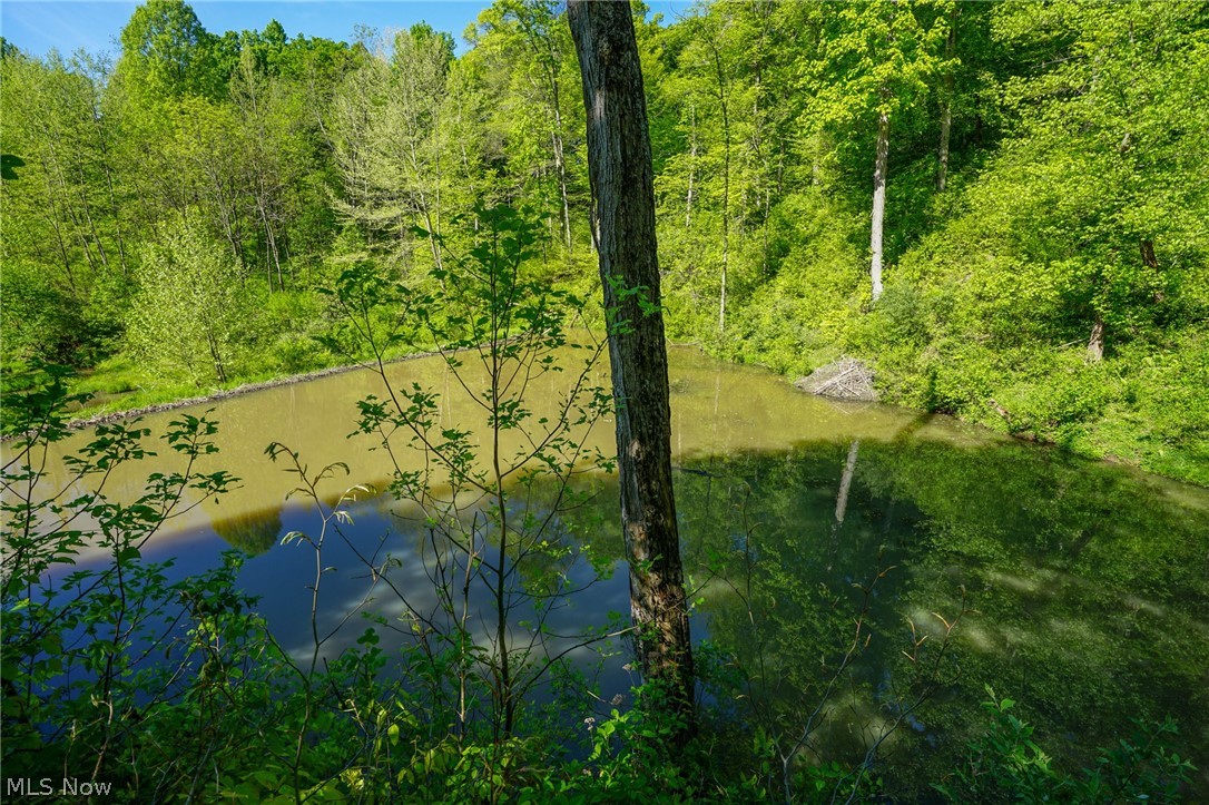 Pugh Ridge Road, Alledonia, Ohio image 13