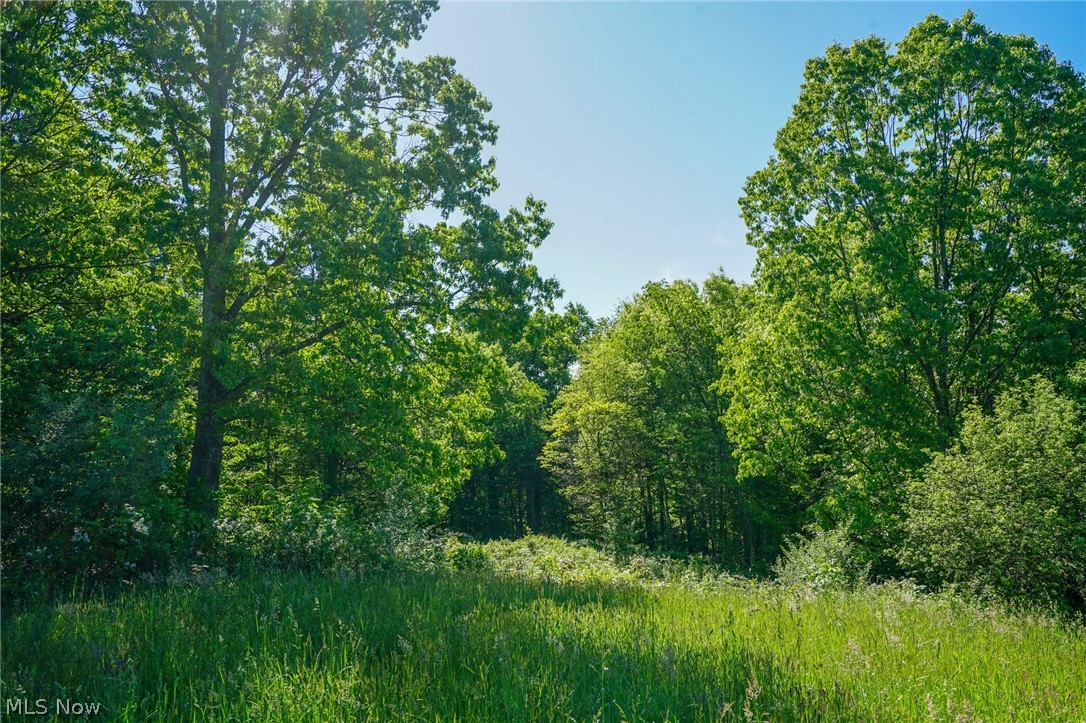 Pugh Ridge Road, Alledonia, Ohio image 17