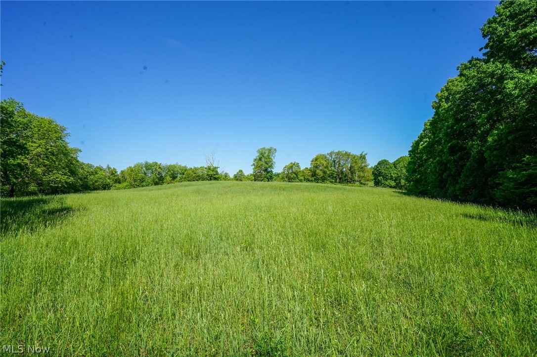 Pugh Ridge Road, Alledonia, Ohio image 41