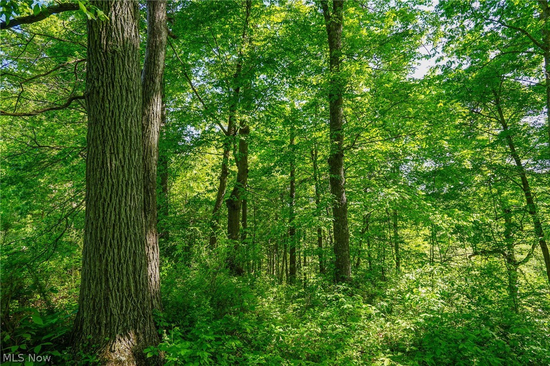 Pugh Ridge Road, Alledonia, Ohio image 23