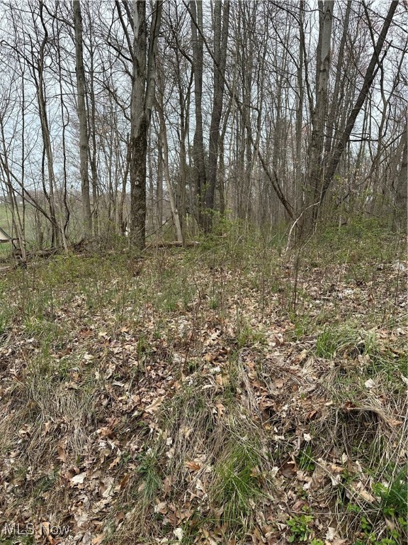 41314 Helen Gregg Road, Bethesda, Ohio image 2