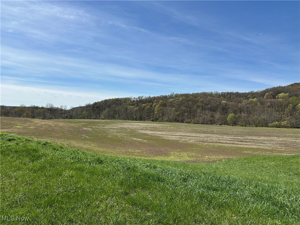3882 State Route 60, Killbuck, Ohio image 18