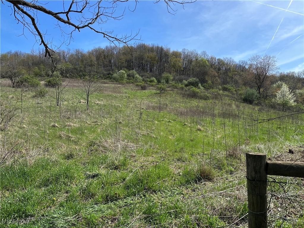 3882 State Route 60, Killbuck, Ohio image 39