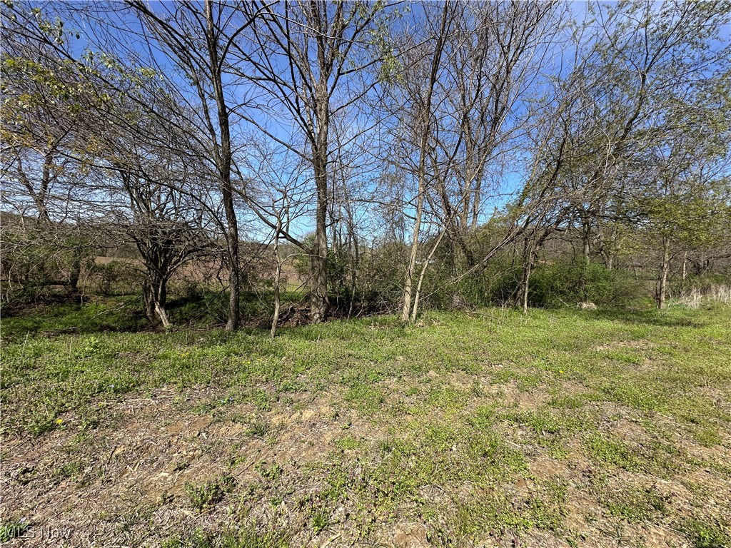 3882 State Route 60, Killbuck, Ohio image 26