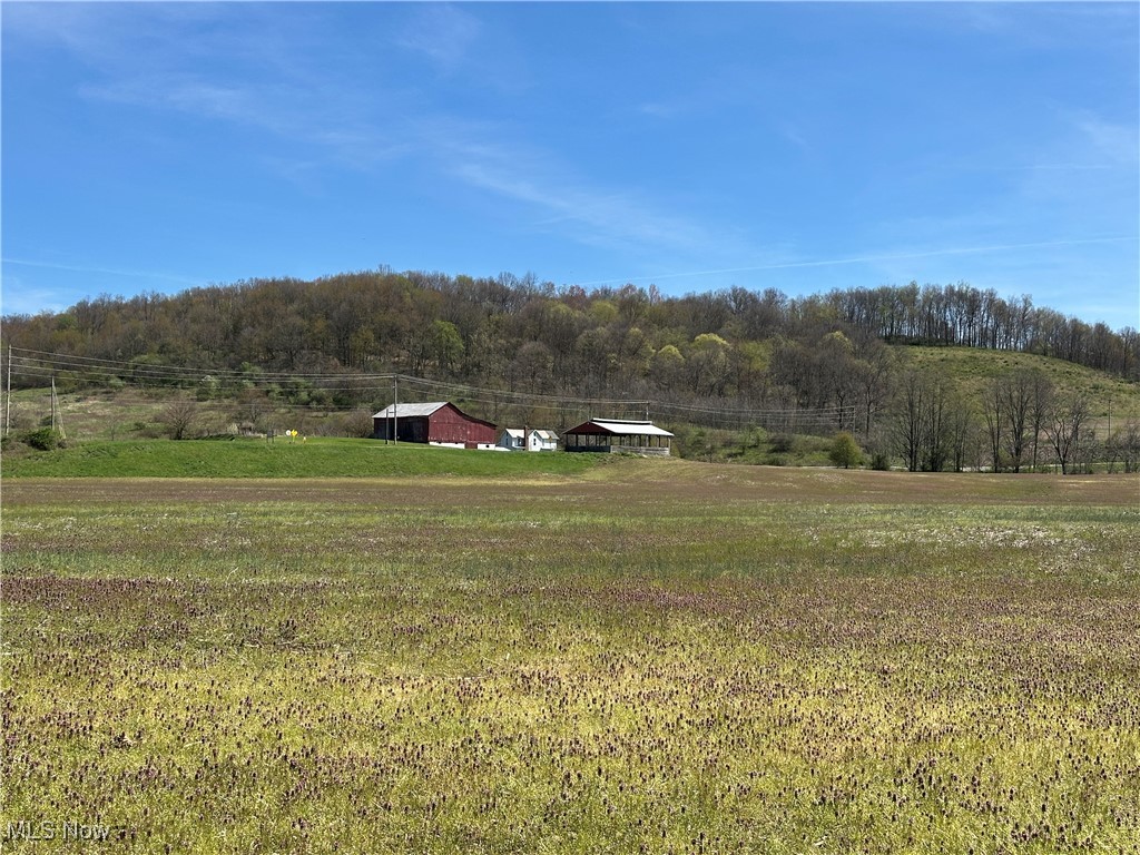 3882 State Route 60, Killbuck, Ohio image 8
