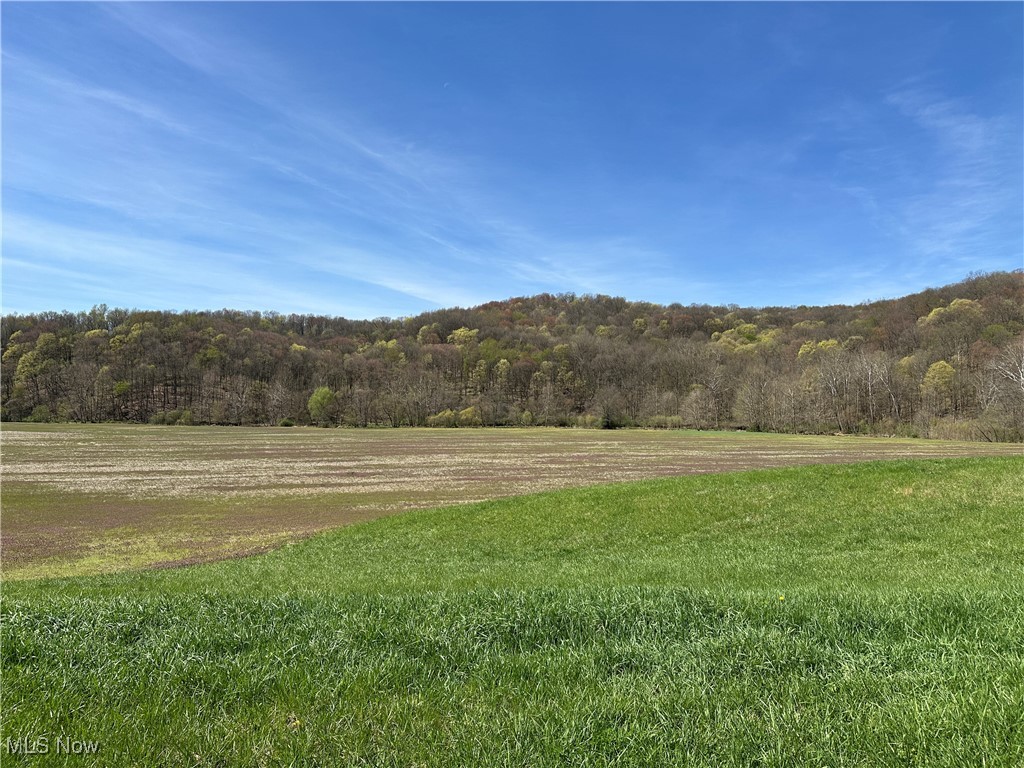 3882 State Route 60, Killbuck, Ohio image 19