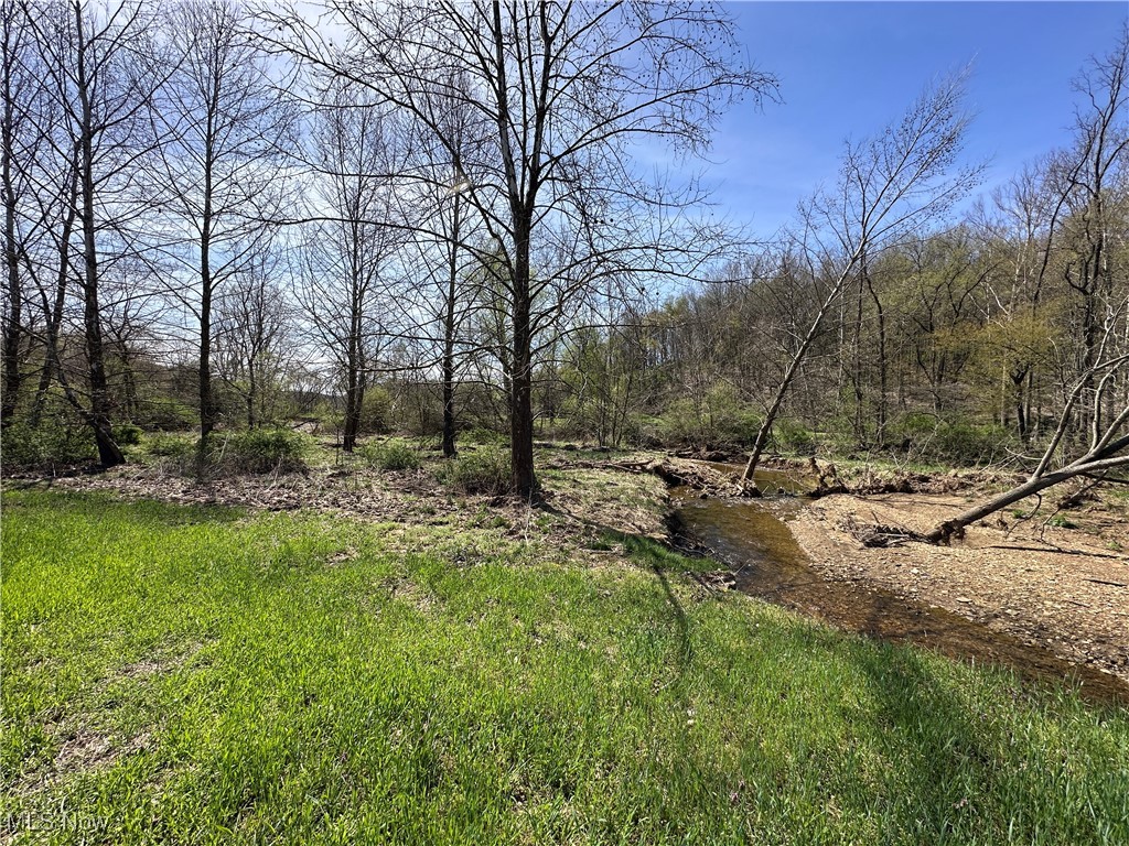 3882 State Route 60, Killbuck, Ohio image 15
