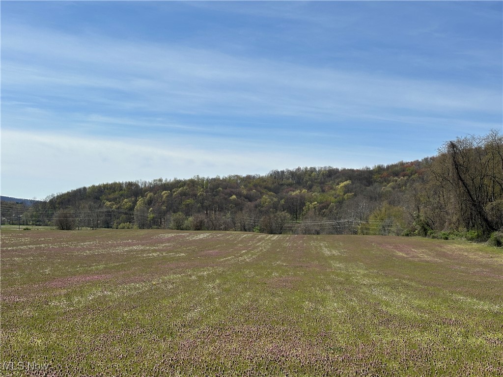 3882 State Route 60, Killbuck, Ohio image 29