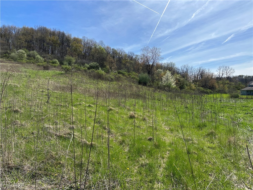 3882 State Route 60, Killbuck, Ohio image 41
