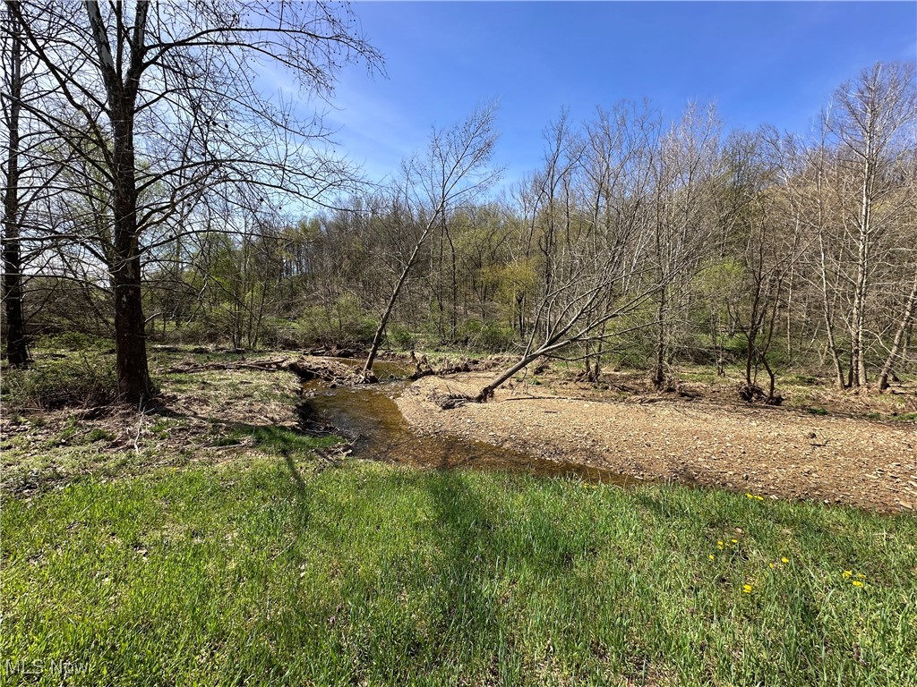 3882 State Route 60, Killbuck, Ohio image 14