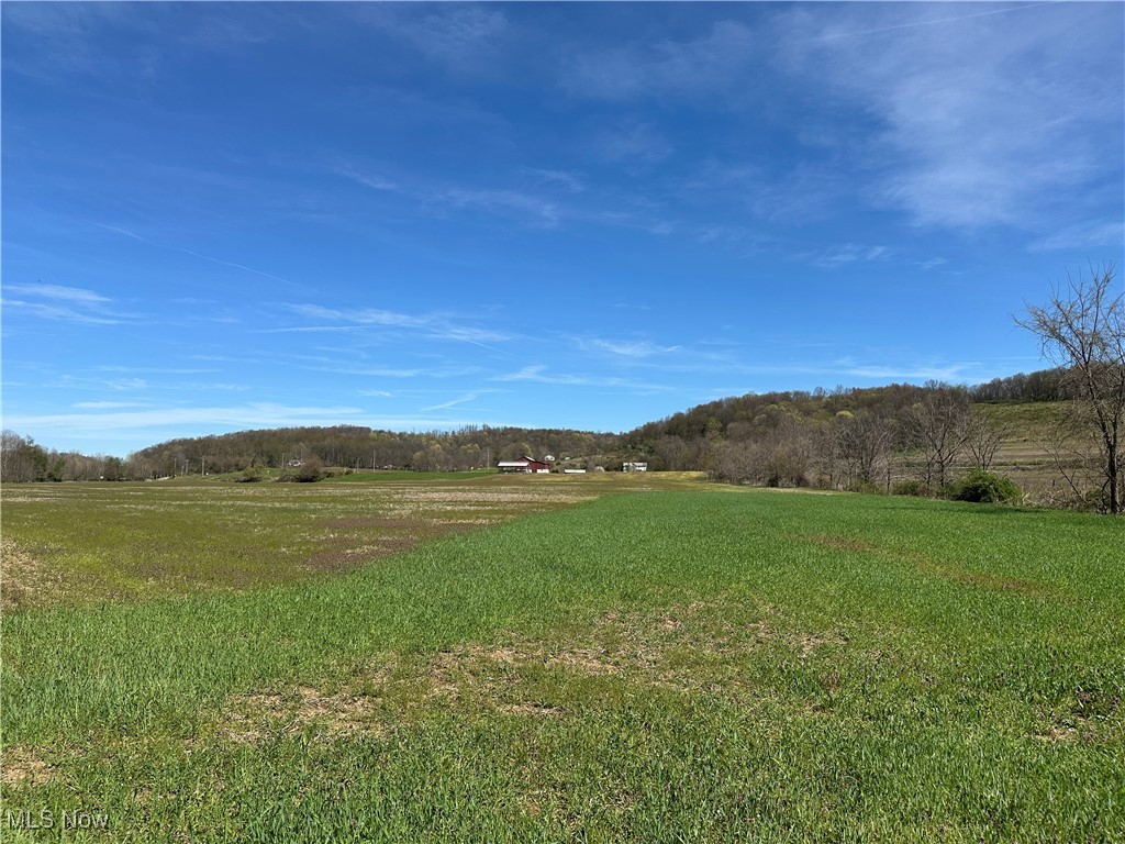 3882 State Route 60, Killbuck, Ohio image 12