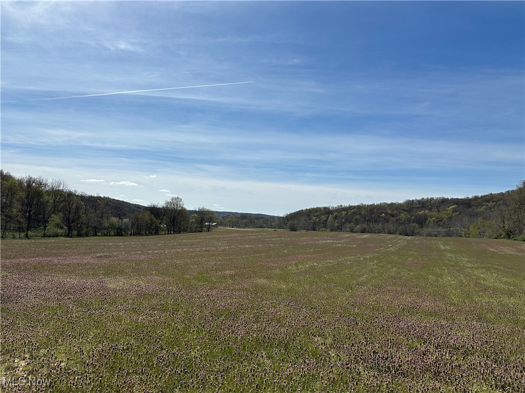 3882 State Route 60, Killbuck, Ohio image 30