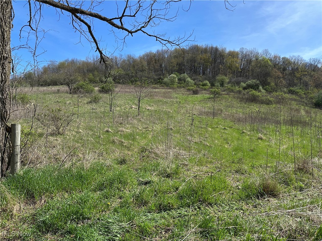 3882 State Route 60, Killbuck, Ohio image 40