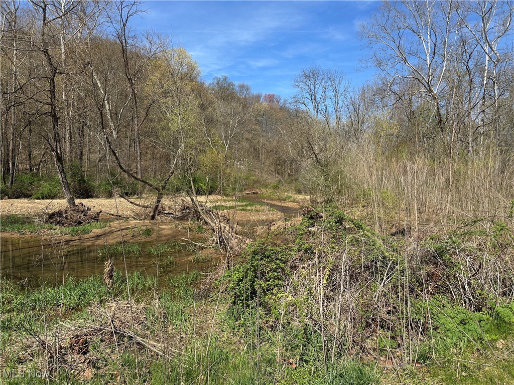 3882 State Route 60, Killbuck, Ohio image 6