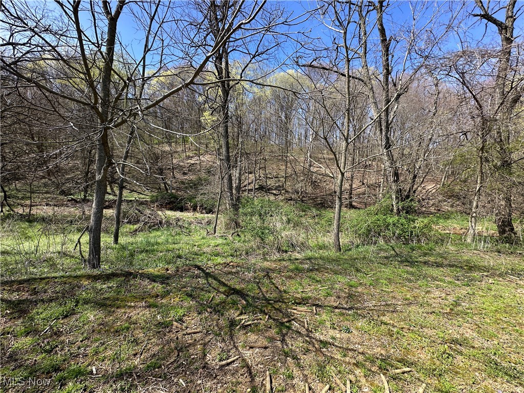 3882 State Route 60, Killbuck, Ohio image 11