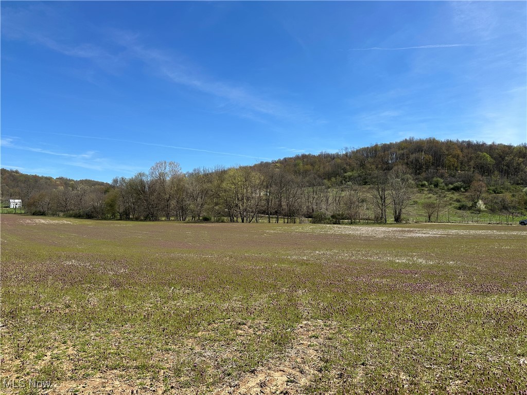 3882 State Route 60, Killbuck, Ohio image 27