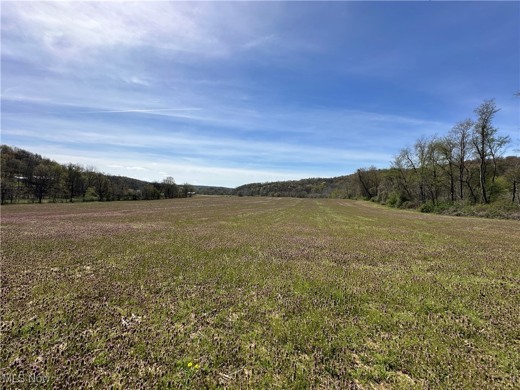 3882 State Route 60, Killbuck, Ohio image 32