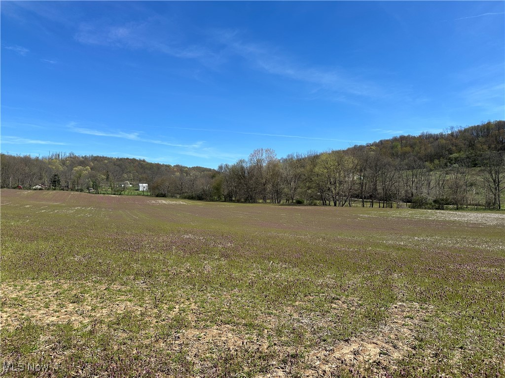 3882 State Route 60, Killbuck, Ohio image 28