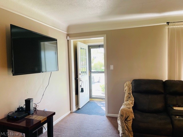 Willowick Park Allotment - Residential