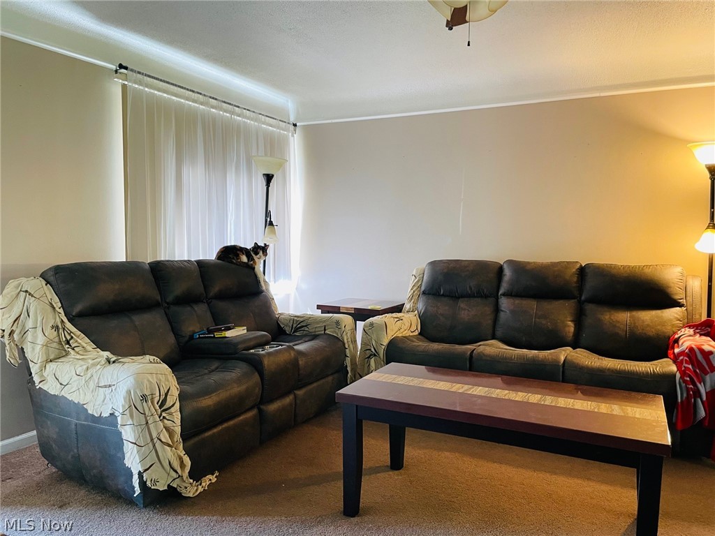 Willowick Park Allotment - Residential