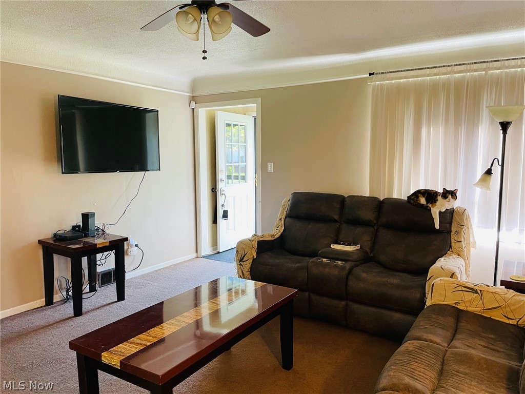 Willowick Park Allotment - Residential