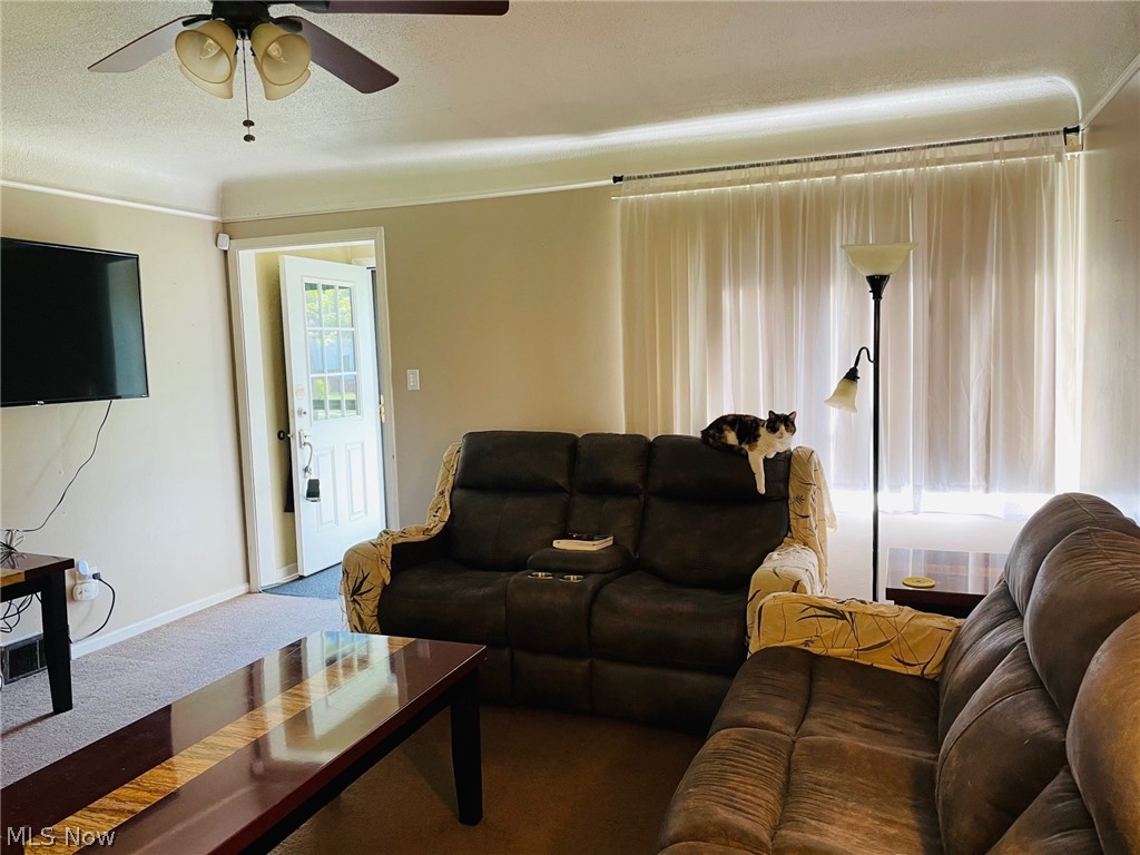 Willowick Park Allotment - Residential