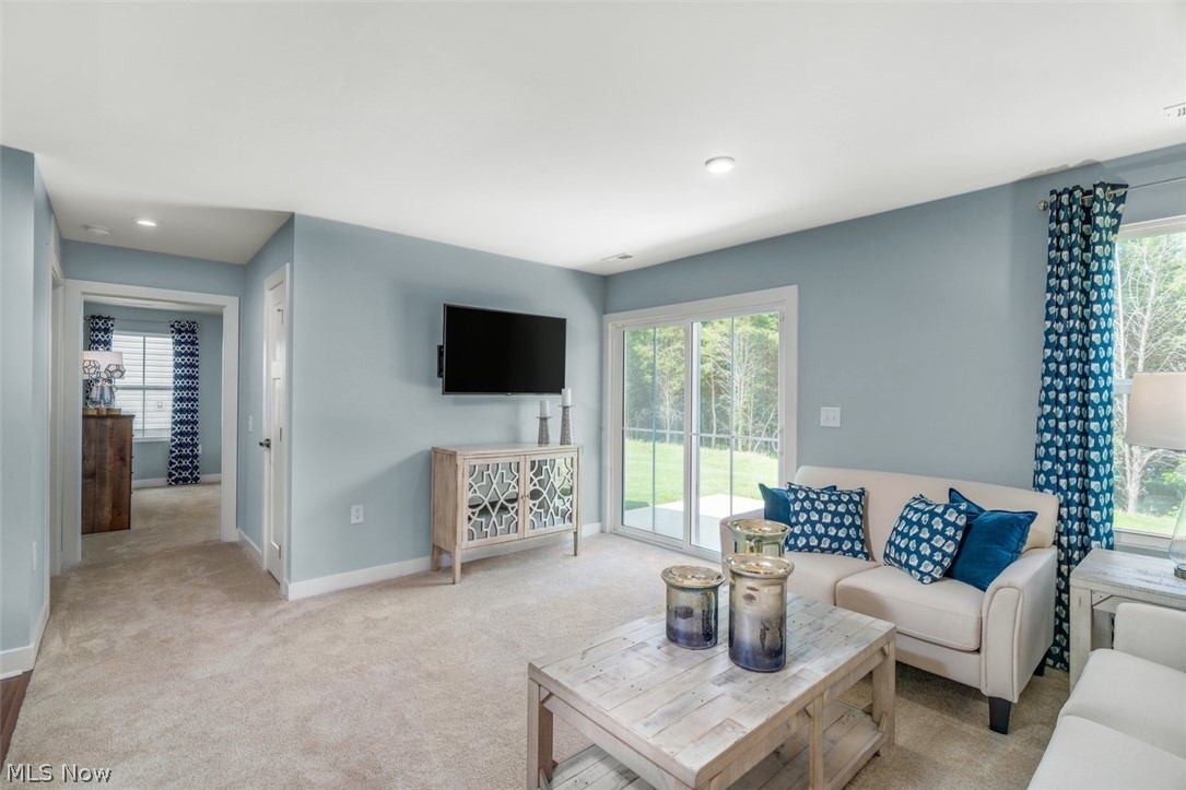 Villas of Meadow View - Residential