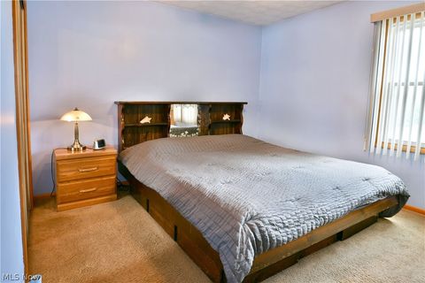 Tiny photo for 4539 N Leavitt Road NW, Warren, OH 44485 (MLS # 5204101)