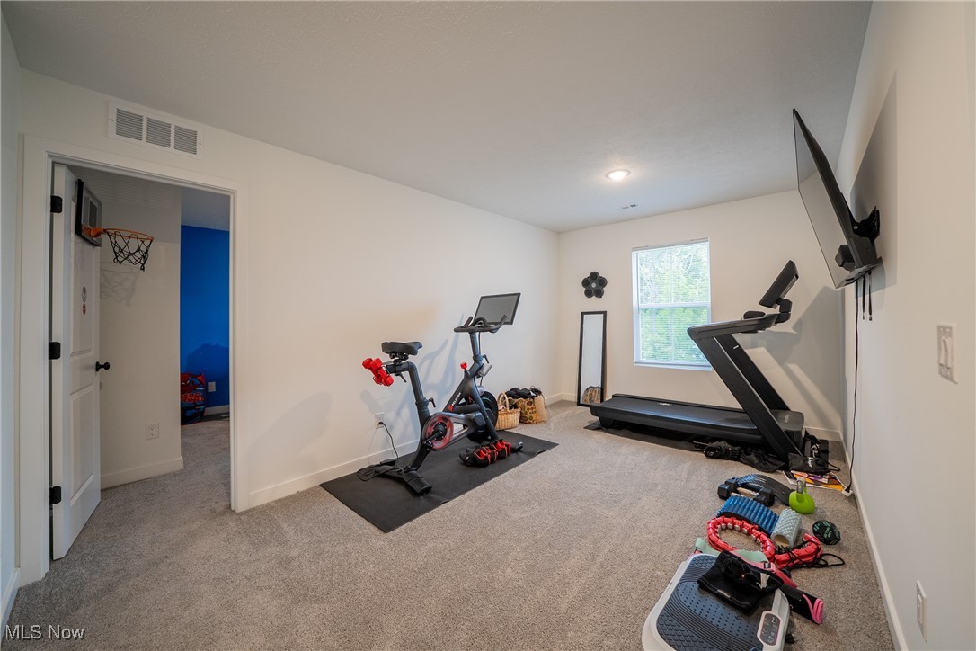 401 Pheasant Run, Elyria, Ohio image 37
