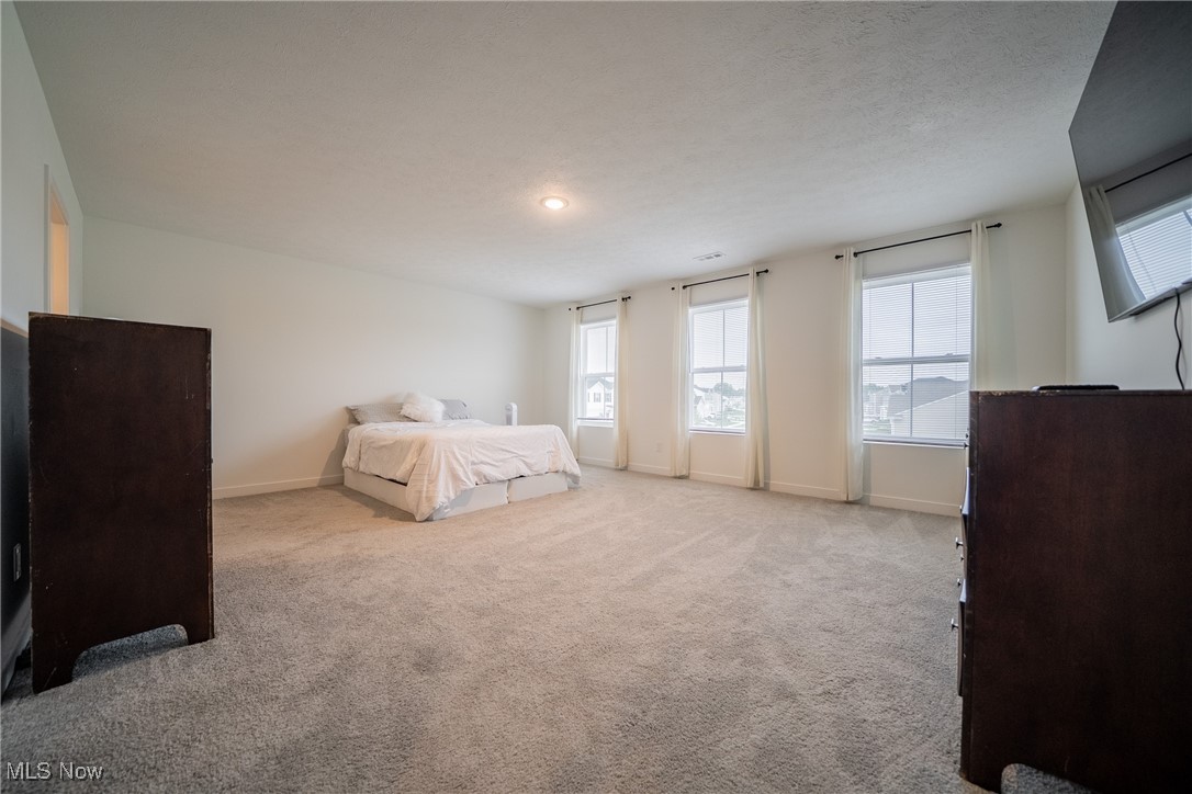 401 Pheasant Run, Elyria, Ohio image 41