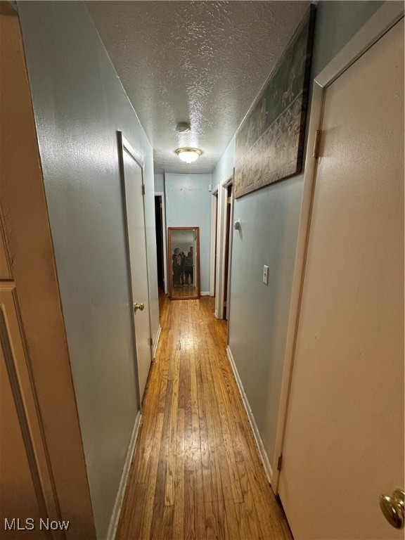 Homestead Orchard Allotment - Residential