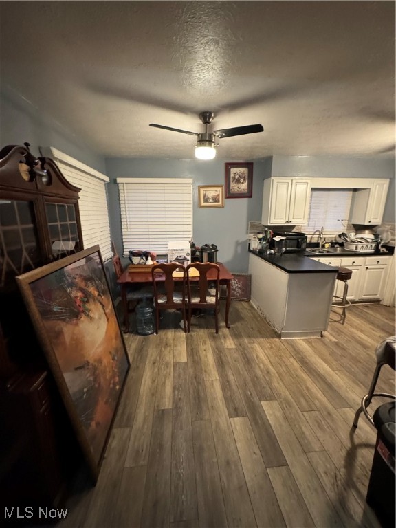 Homestead Orchard Allotment - Residential