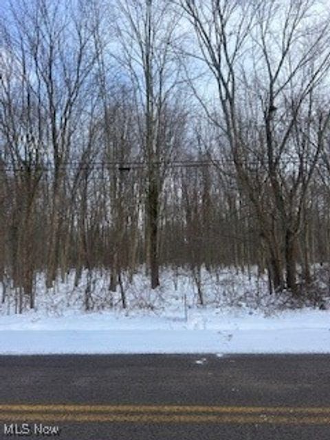 Vacant Land For Sale - Walter Main Road<br/> Ashtabula County, Geneva, OH 44041