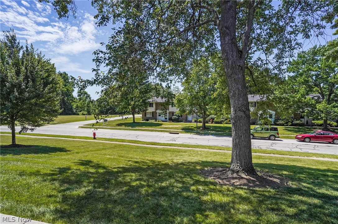 Huntington Park - Residential