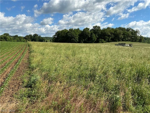 Tiny photo for Dolphin Street SW, Strasburg, OH 44680 (MLS # 5220811)