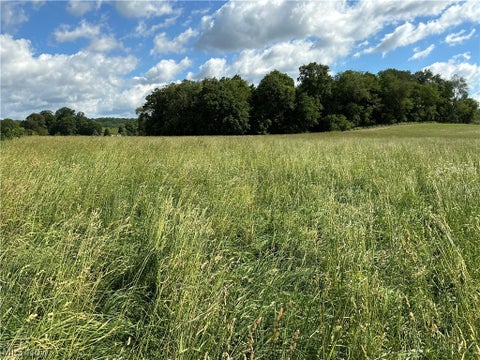 Tiny photo for Dolphin Street SW, Strasburg, OH 44680 (MLS # 5220811)