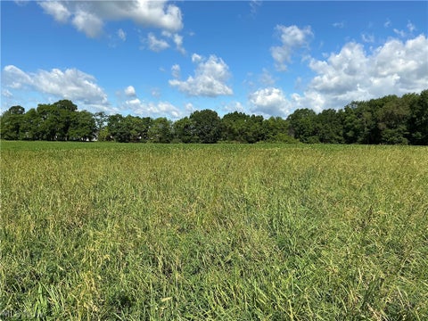 Tiny photo for Dolphin Street SW, Strasburg, OH 44680 (MLS # 5220811)