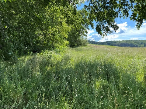 Tiny photo for Dolphin Street SW, Strasburg, OH 44680 (MLS # 5220811)