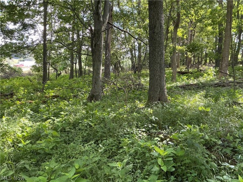 Tiny photo for Dolphin Street SW, Strasburg, OH 44680 (MLS # 5220811)